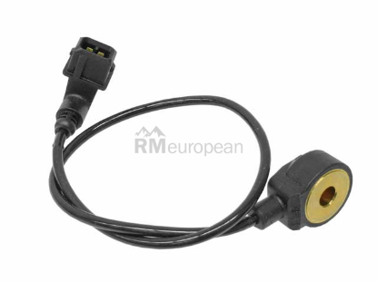 BMW Knock Sensor Bosch 12141702163
