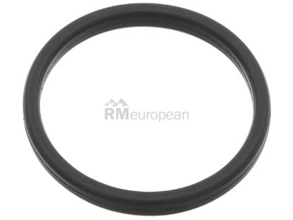 VW-Audi Gasket Victor Reinz 06E103181K