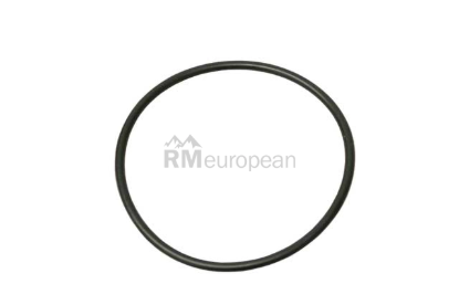 VW-Audi Thermostat Housing Seal O.E.M. N90303403