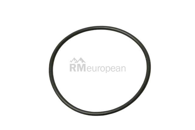 VW-Audi Thermostat Housing Seal O.E.M. N90303403