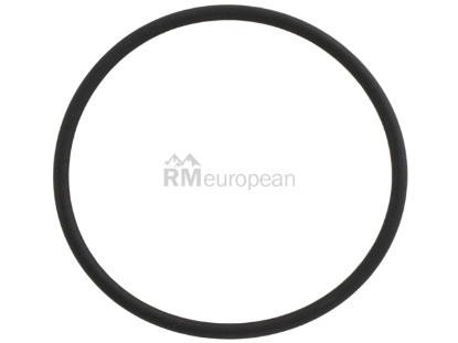 BMW O-Ring S-Tec 27107609202