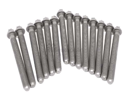 BMW Cylinder Head Bolt Set Victor Reinz 11127583116