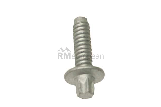 BMW Bolt Genuine BMW 11127521756