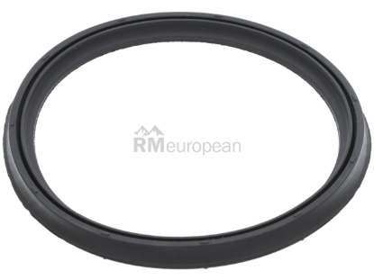 BMW Seal Victor Reinz 11618506782