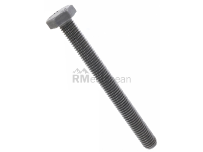 BMW Engine Bolt Genuine BMW 11117589711