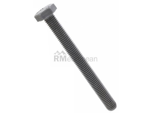 BMW Engine Bolt Genuine BMW 11117589711