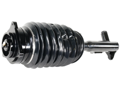 Mercedes Strut Arnott Industries 2183206613