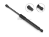 BMW Trunk Shock Stabilus 51247129194