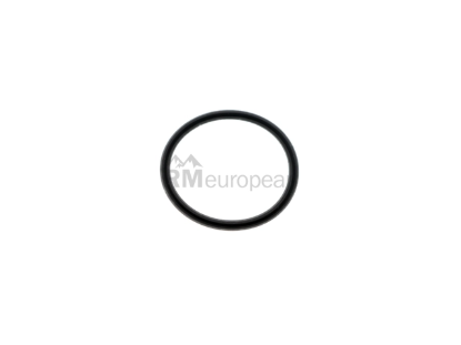 BMW Fuel Injector O-Ring Elring Klinger 13537787236