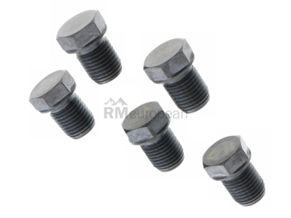 Engine Oil Drain Plug AGA 555560010