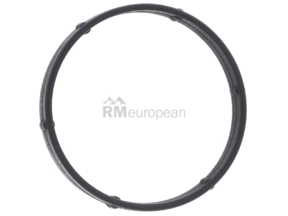 Land Rover Coolant Flange Gasket Genuine Land Rover 4024557