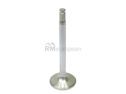 Mercedes Exhaust Valve Intervalves 1020500327