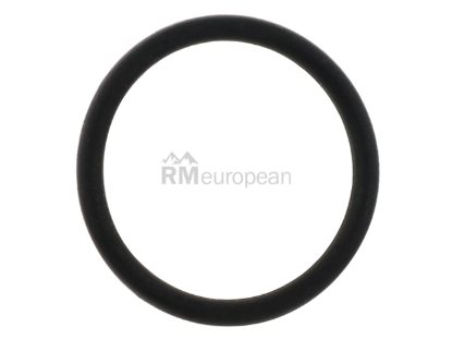 Porsche O-Ring O.E.M. 35634142
