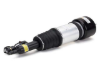 Mercedes Strut Arnott Industries 2203202138