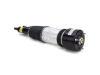 Mercedes Strut Arnott Industries 2203202138