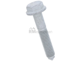 VW-Audi Engine Mount Bolt VNE N90596906