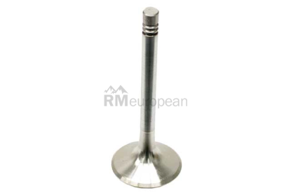 Porsche Exhaust Valve TRW 93010541951