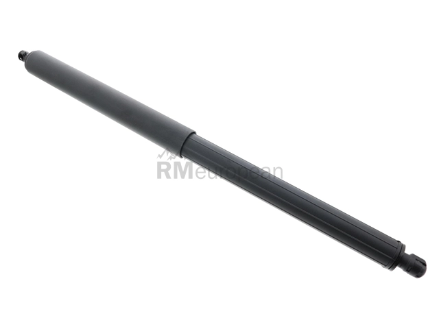 Mercedes Hatch Shock Tuff Support 1647400345
