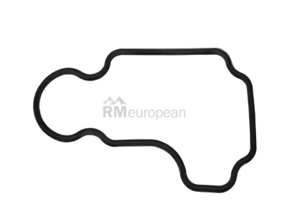 VW-Audi Gasket Victor Reinz 048103771