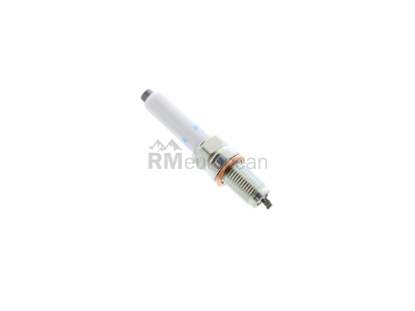 VW-Audi Spark Plug NGK 04E905602D