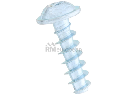 BMW Tapping Screw ACM 17117536971