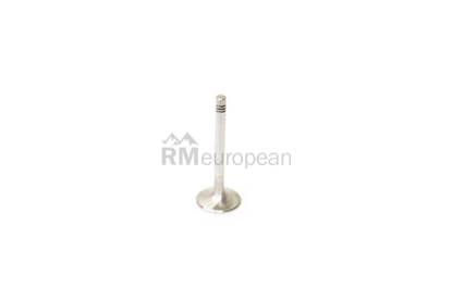 Porsche Exhaust Valve TRW 93010541950