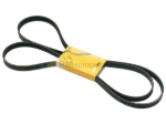 Belt 6K X 2449 Continental 6K2449