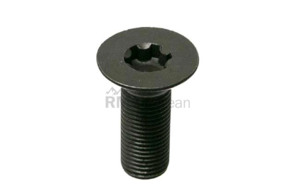 VW-Audi Camshaft Adjuster Bolt Genuine VW/Audi 06D109281D