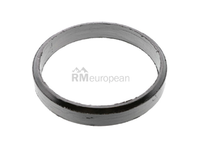 BMW Exhaust Gasket Elring Klinger 18307851168