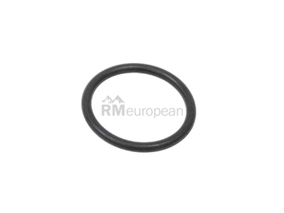 Volvo Oil Cap O-Ring Pro Parts 925063