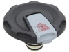 Expansion Tank Cap Metzger 2141053