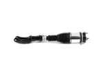 Air Suspension Strut Arnott Industries AS3154