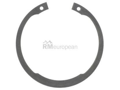 BMW Snap Ring SKF 33411138648
