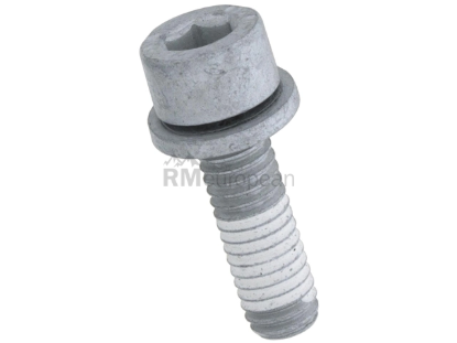 BMW Fillister Head Screw Genuine BMW 13517590275
