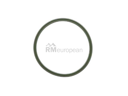 Mercedes Intercooler Hose O-Ring Genuine Mercedes 0289974548