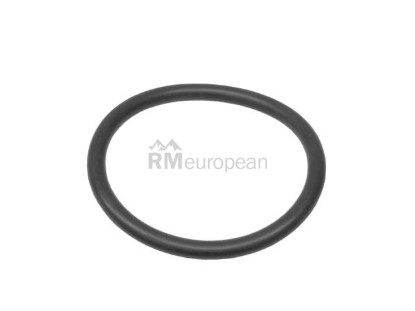 Porsche O-Ring Genuine Porsche 99970159940