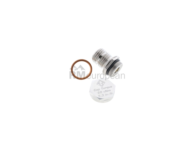 BMW Engine Oil Drain Plug AGA 095560200