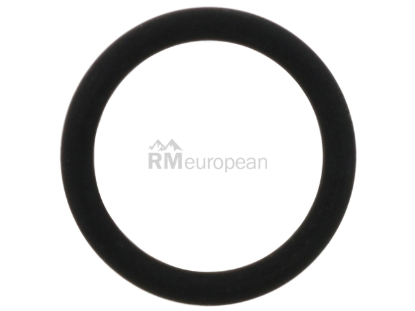 BMW O-Ring Victor Reinz 11421702905