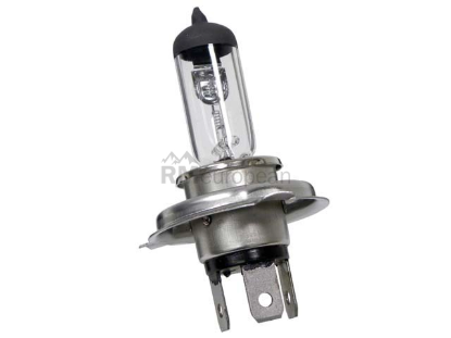 Porsche Bulb Flosser 665543