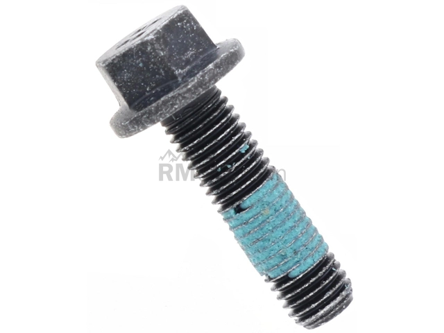 Volvo Water Pump Bolt O.E.M. 985151
