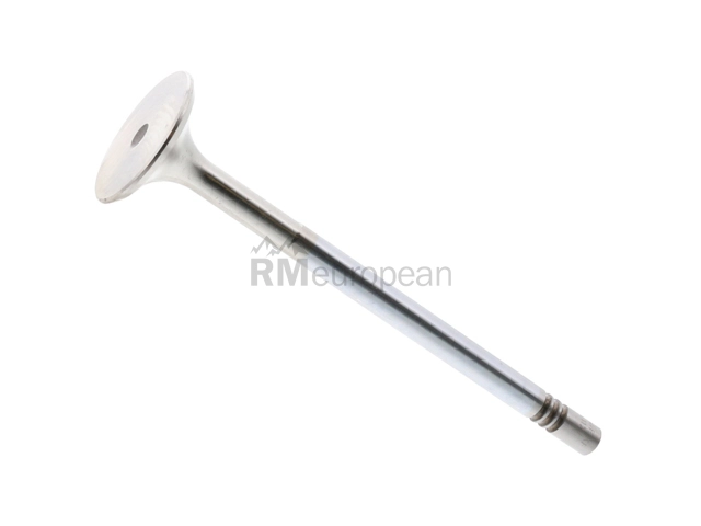 Mercedes Exhaust Valve TRW 6420500527