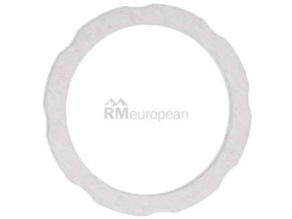 BMW Aluminum Washer Victor Reinz 11317534251
