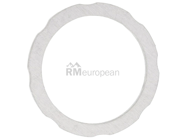 BMW Aluminum Washer Victor Reinz 11317534251