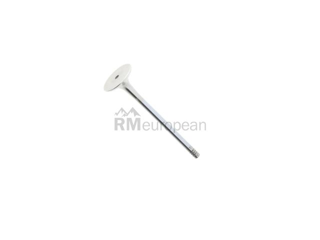 Exhaust Valve TRW 111031