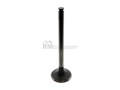 Mercedes Exhaust Valve TRW 1110501227