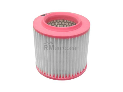 VW-Audi Air Filter Mann Filter 4E0129620D