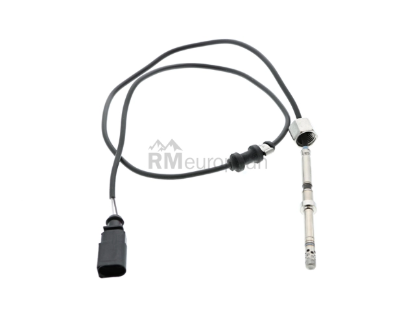 VW-Audi Temperature Sensor Rein Automotive 06A906088