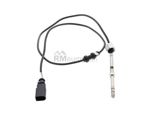 VW-Audi Temperature Sensor Rein Automotive 06A906088