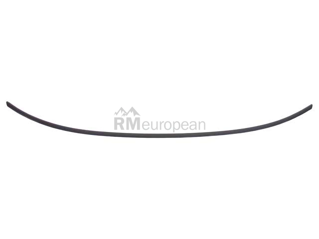 BMW Windshield Moulding Genuine BMW 51318119281
