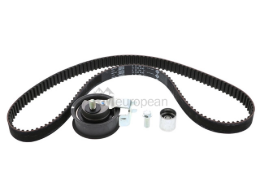 VW-Audi Timing Belt Kit INA 06A198119B